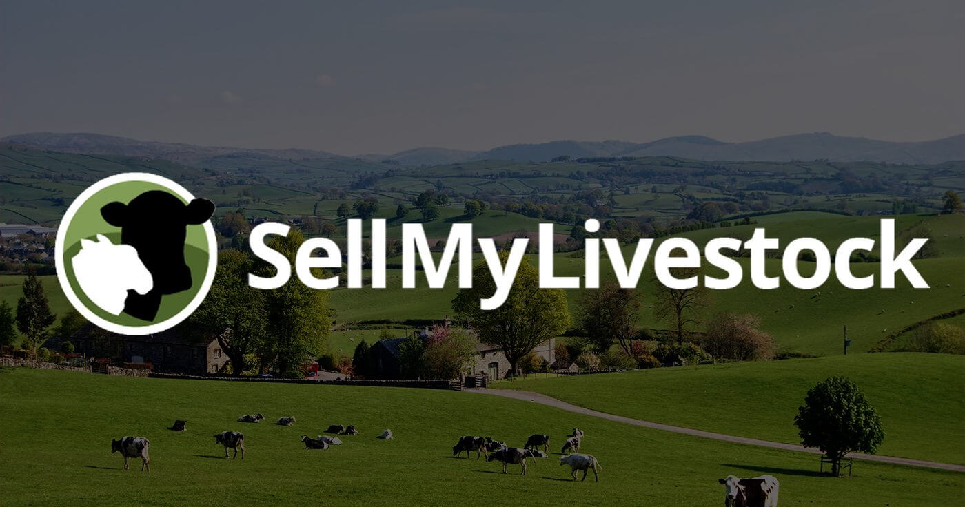 SellMyLivestock The Online Livestock Marketplace SellMyLivestock